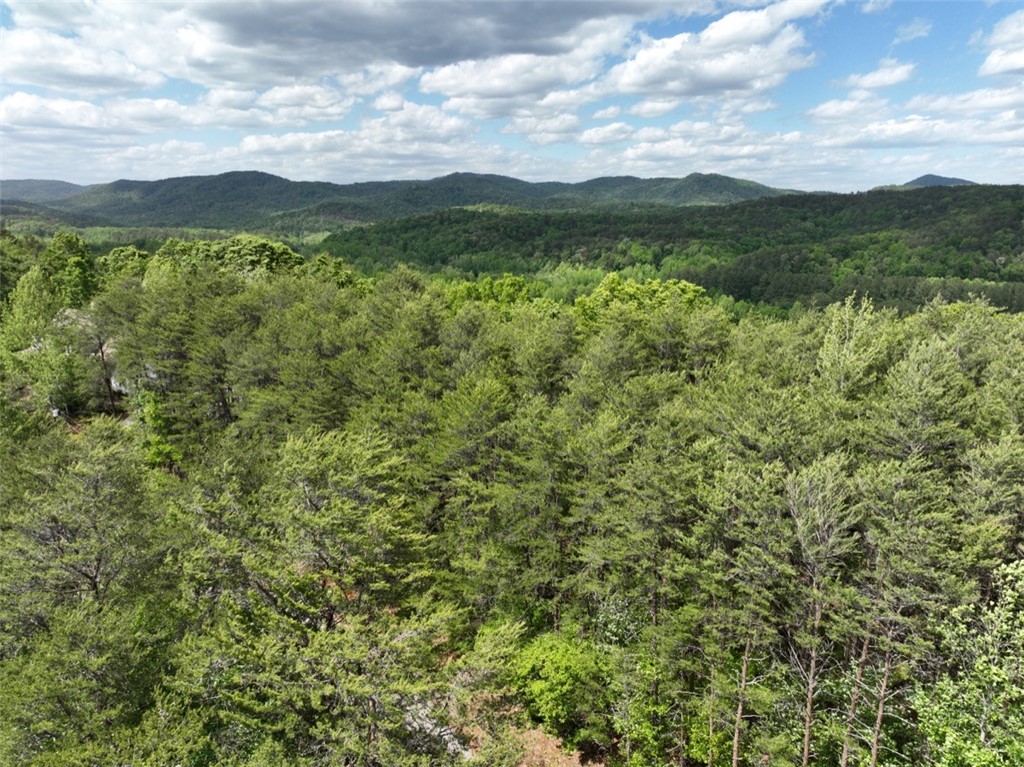 247 Trembly Bald Drive