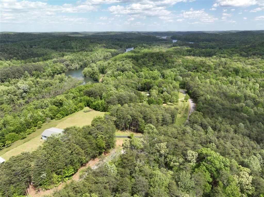 247 Trembly Bald Drive