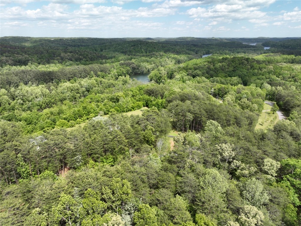 247 Trembly Bald Drive