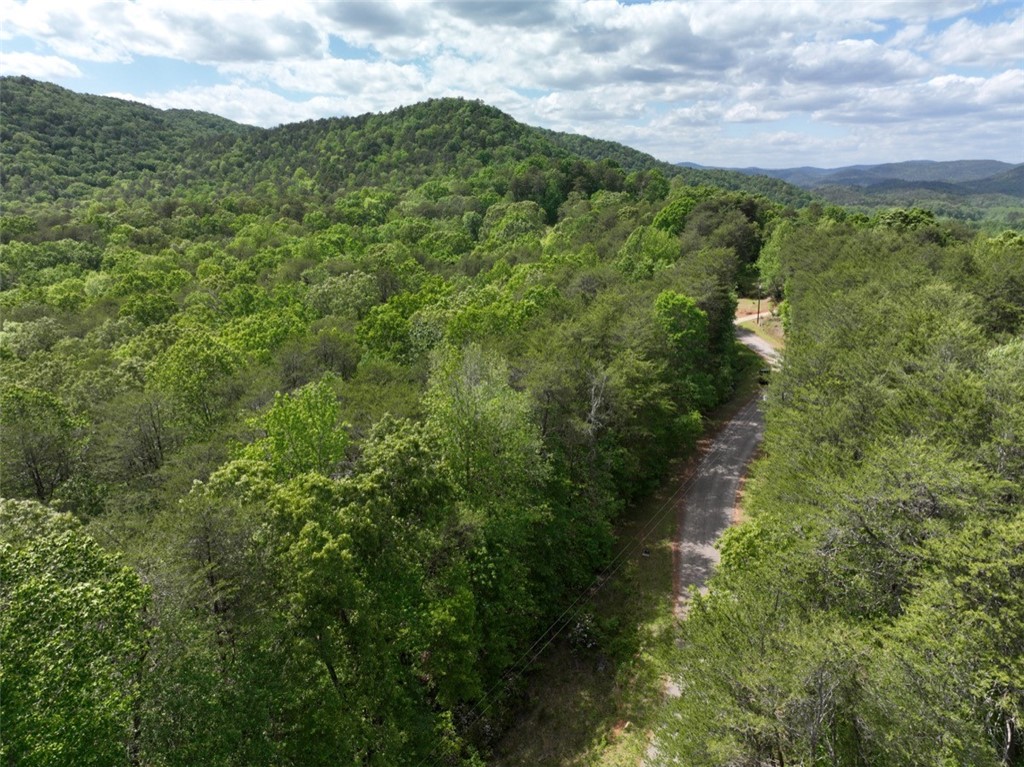 247 Trembly Bald Drive