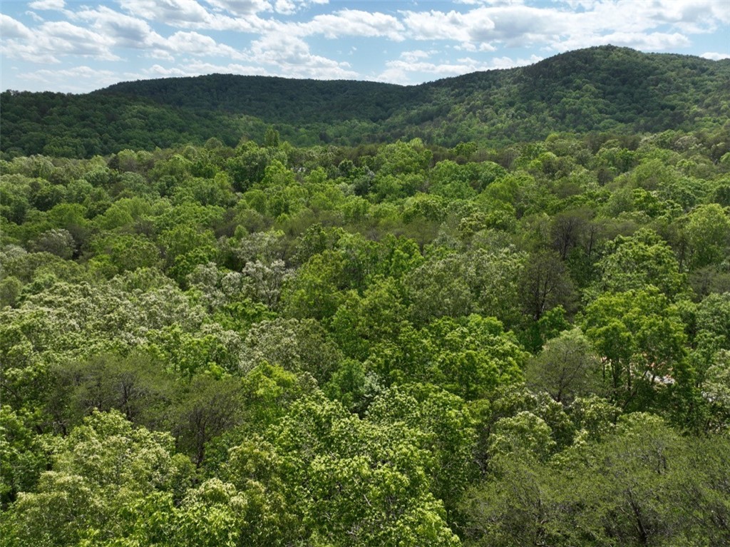 247 Trembly Bald Drive