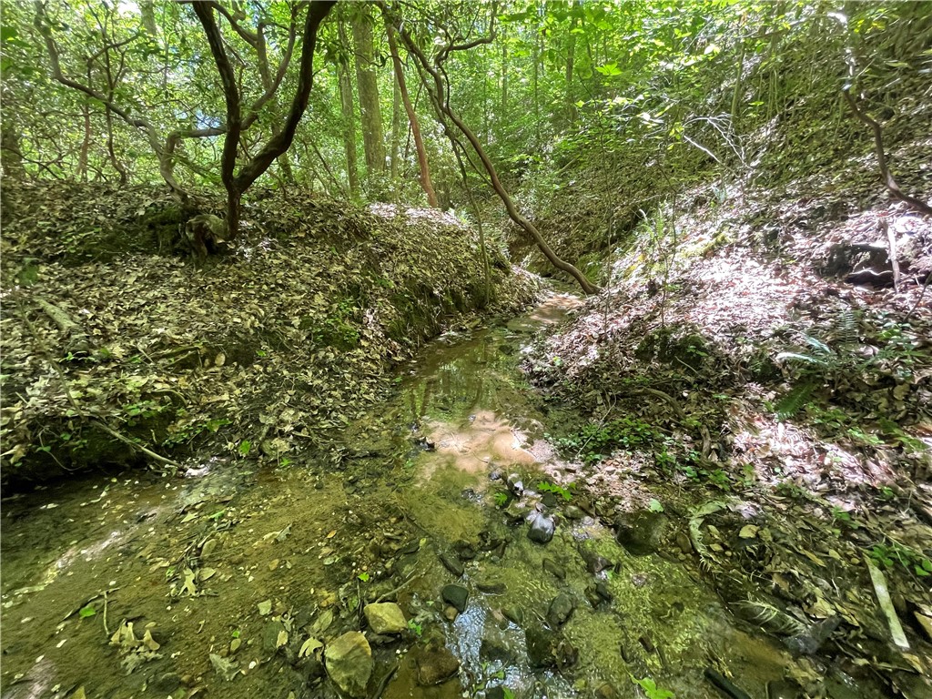 247 Trembly Bald Drive