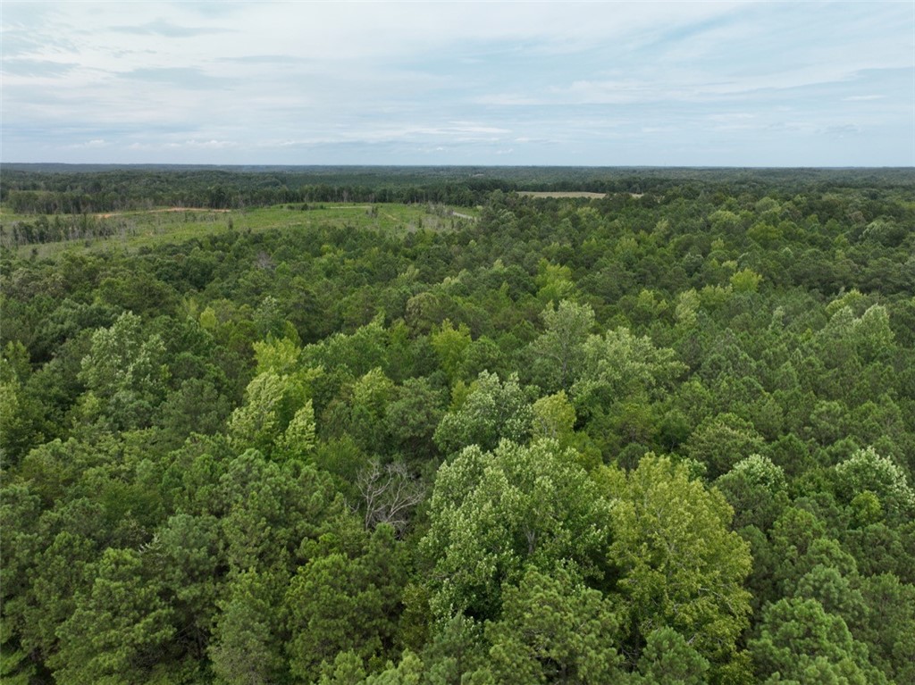 00 Horseshoe Pointe Drive