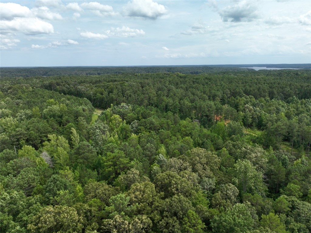 00 Horseshoe Pointe Drive