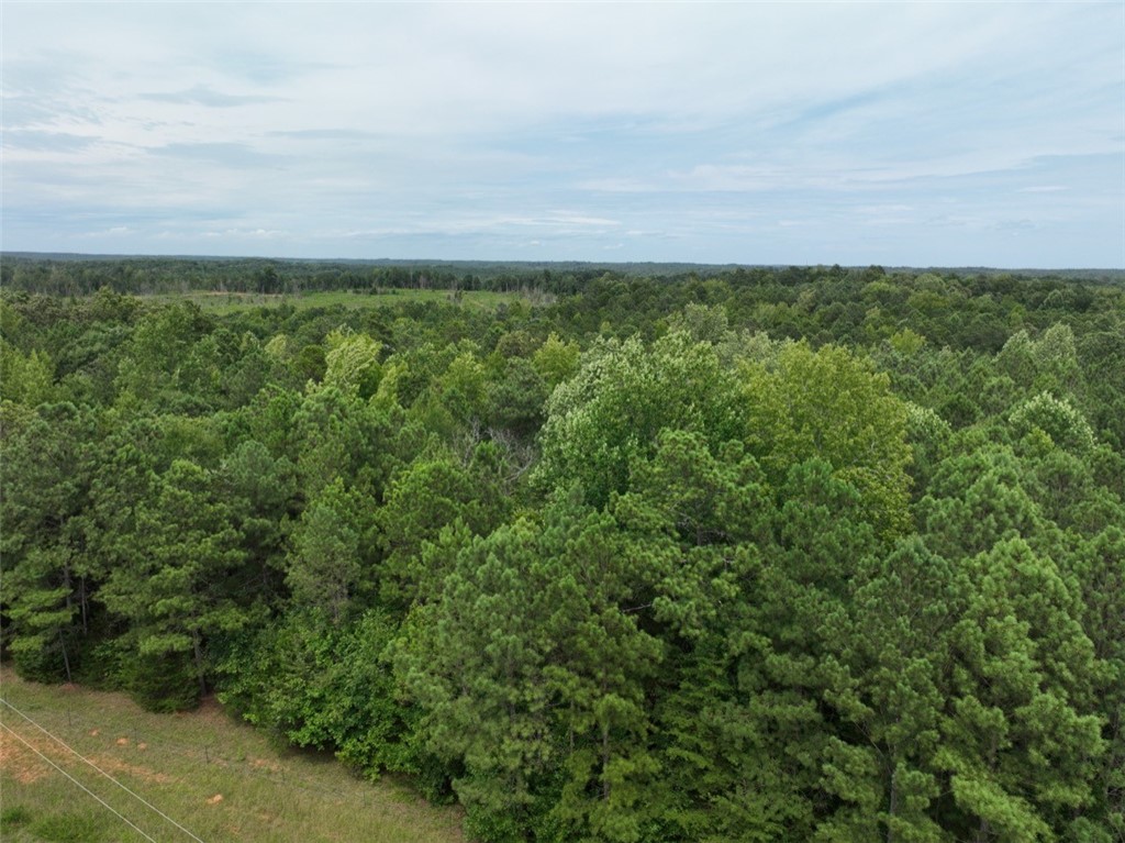 00 Horseshoe Pointe Drive