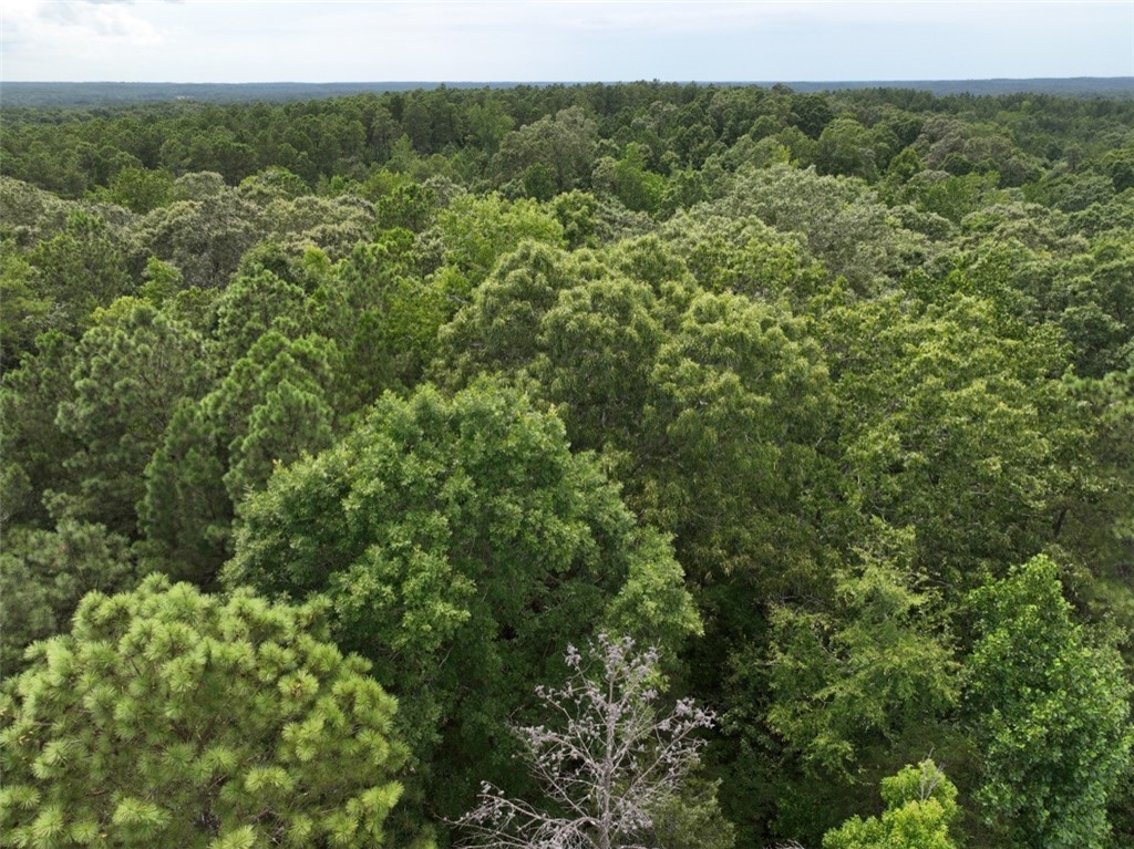 00 Horseshoe Pointe Drive