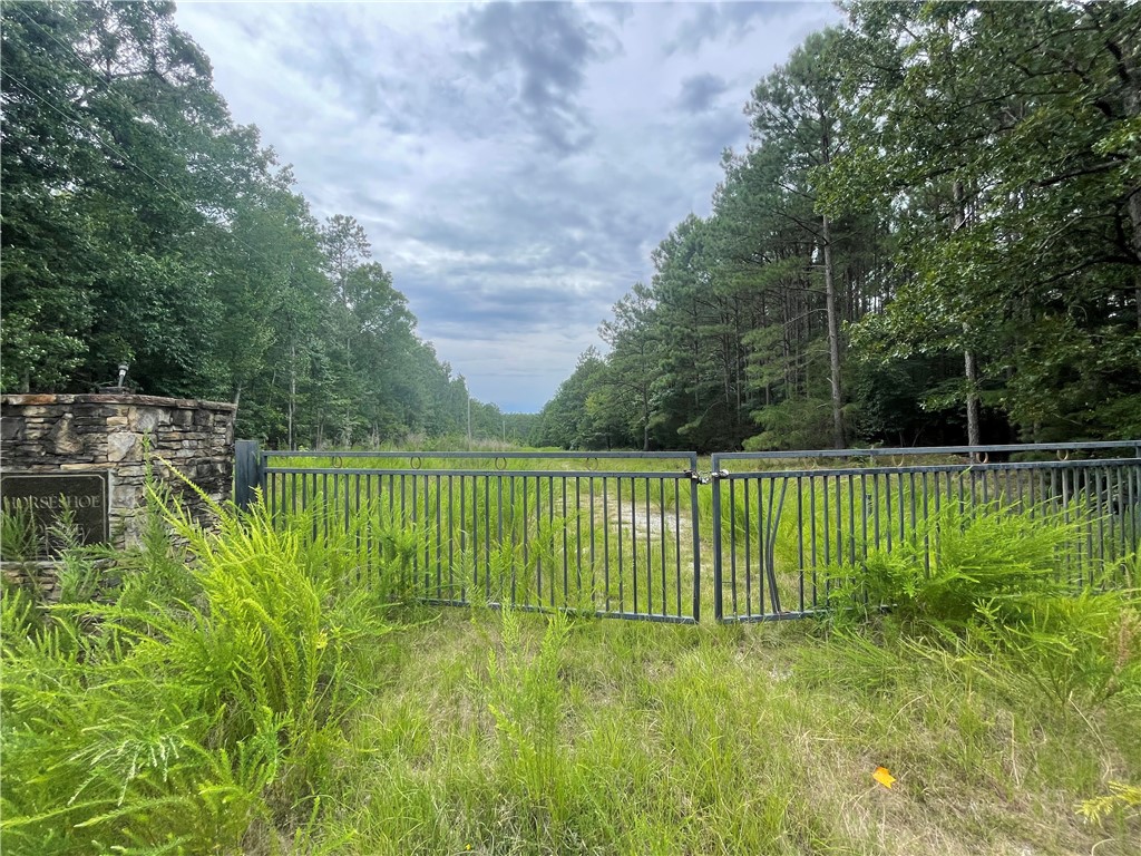 00 Horseshoe Pointe Drive