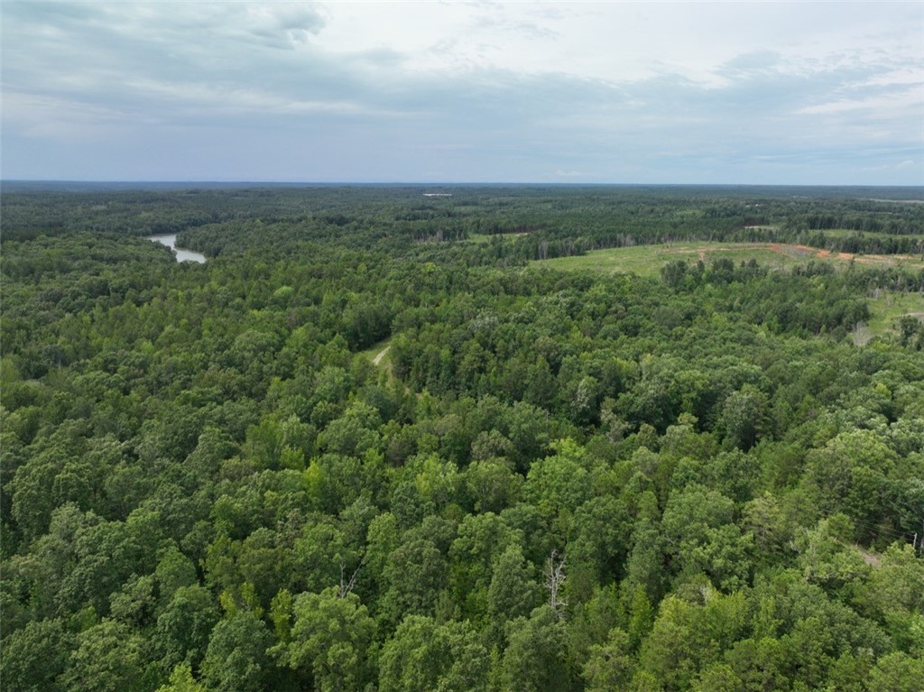 00 Horseshoe Pointe Drive