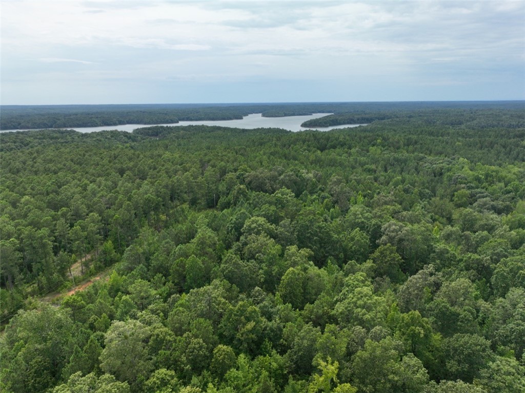 00 Horseshoe Pointe Drive