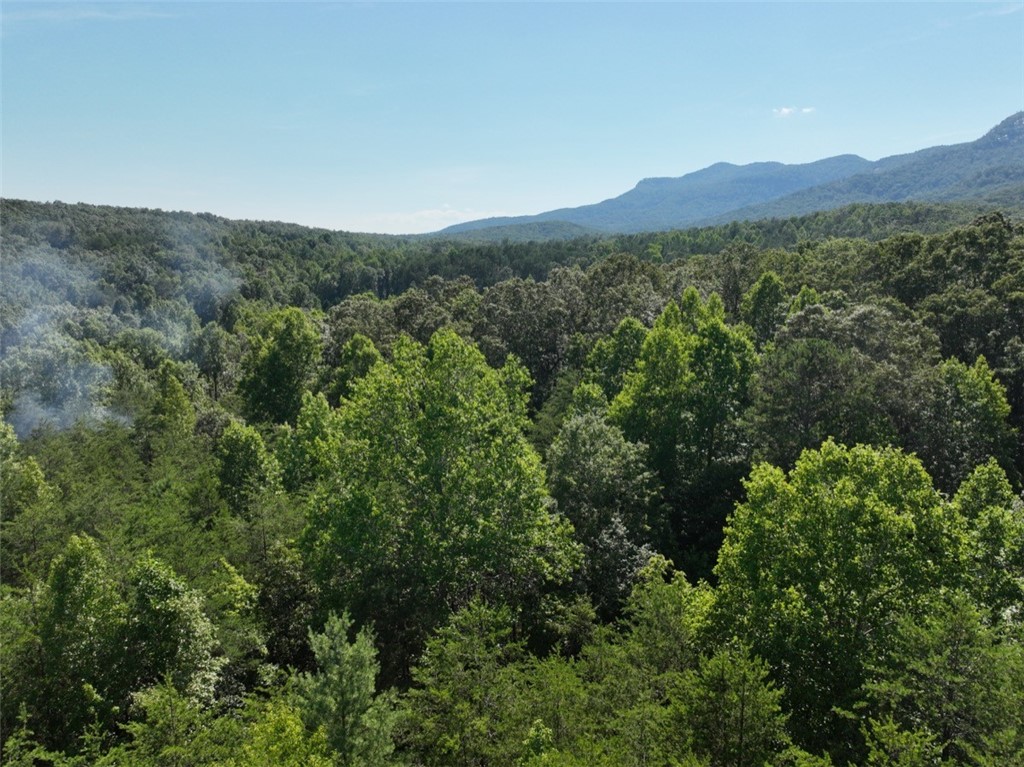 00 Country Creek Drive