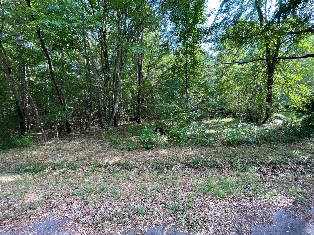 00 Moore Mackey Road