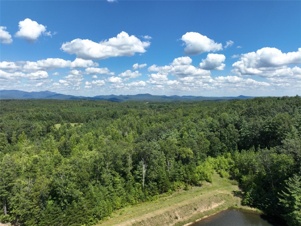 00 Stoney Creek Trail