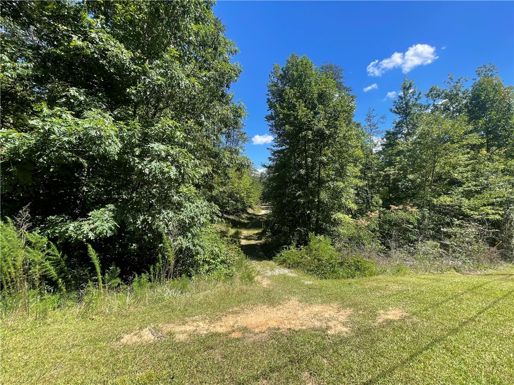 00 Stoney Creek Trail