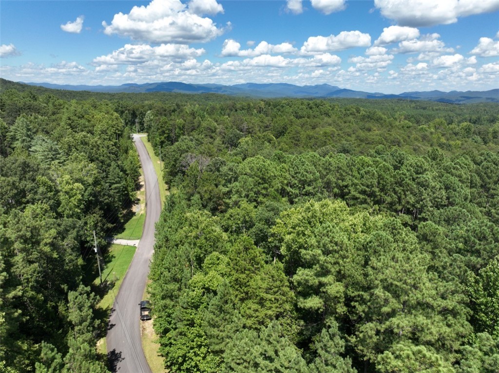 00 Stoney Creek Trail