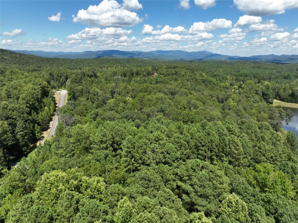 00 Stoney Creek Trail