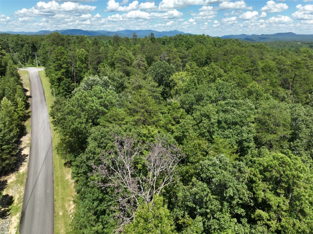 00 Stoney Creek Trail