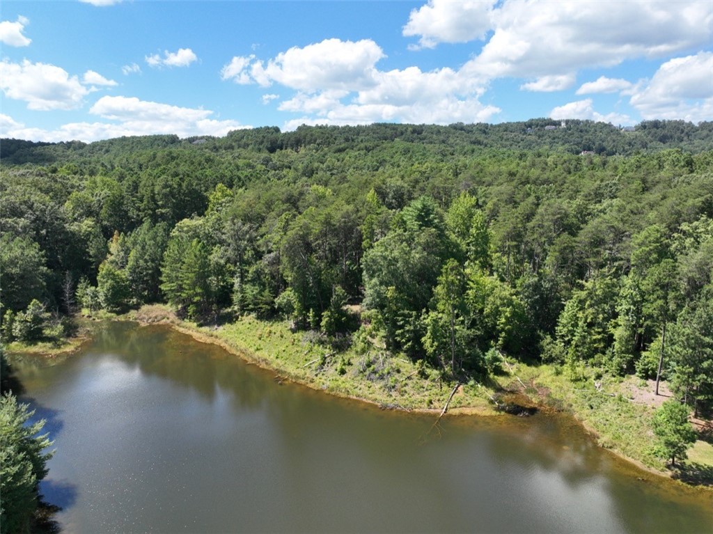 00 Stoney Creek Trail