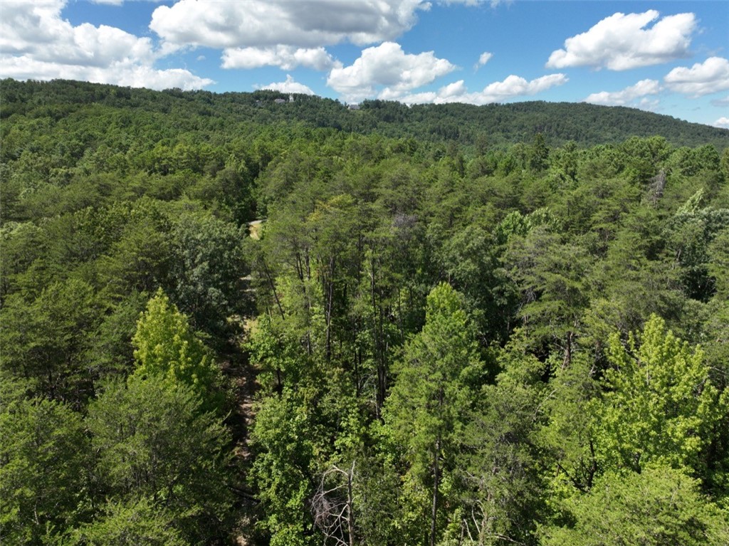 00 Stoney Creek Trail