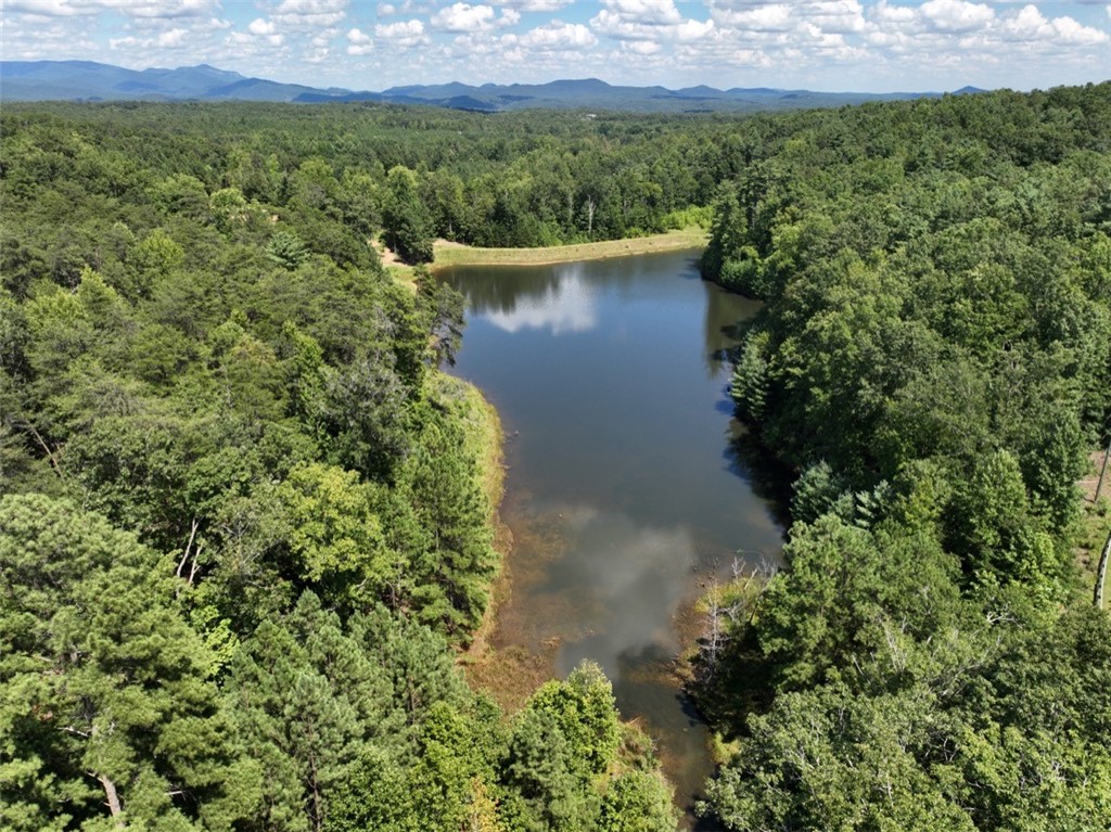 00 Stoney Creek Trail