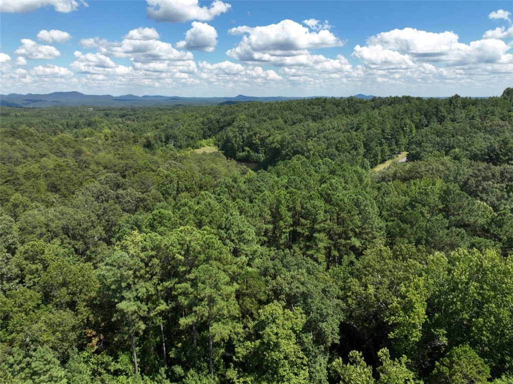 00 Stoney Creek Trail