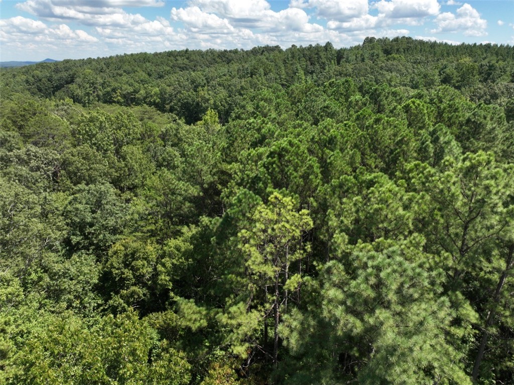 00 Stoney Creek Trail