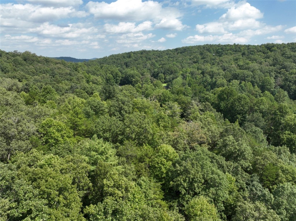 33 Nugget Ridge Lane