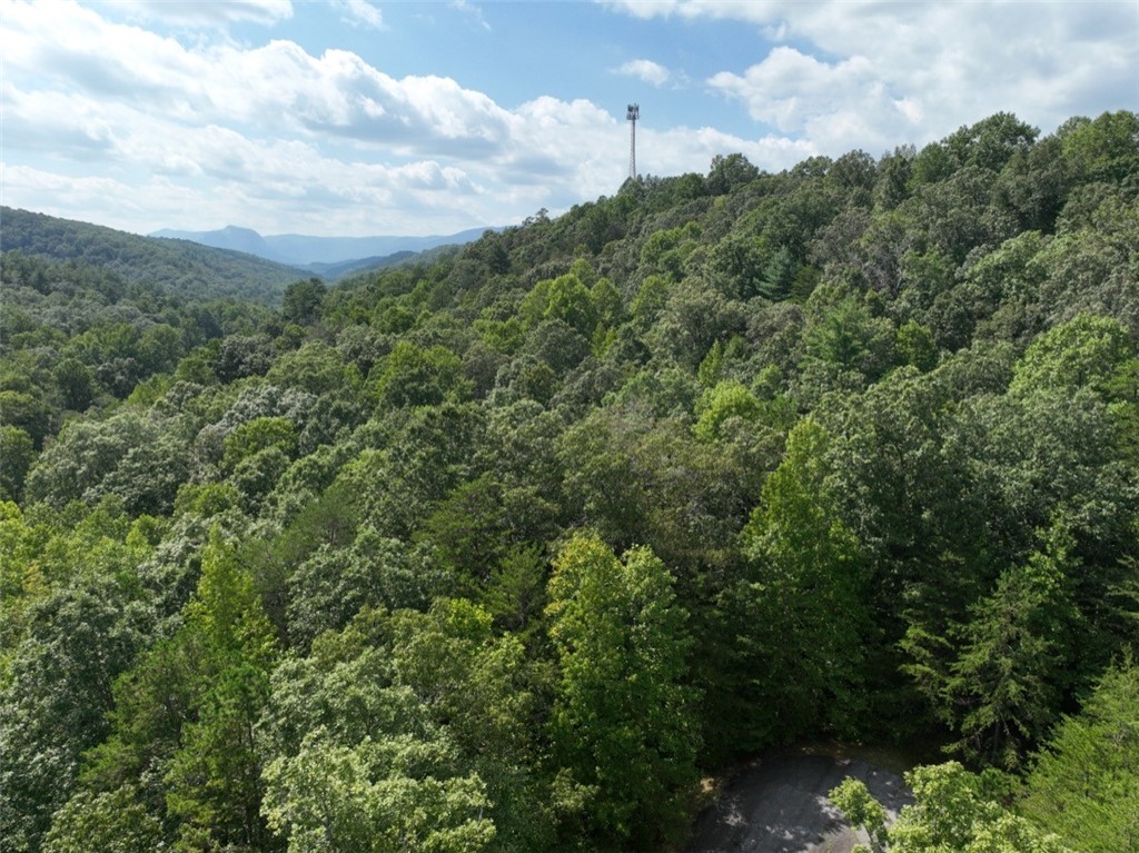 33 Nugget Ridge Lane