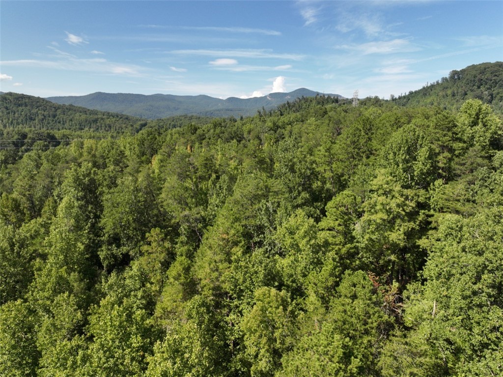 2705 Moorefield Memorial Highway