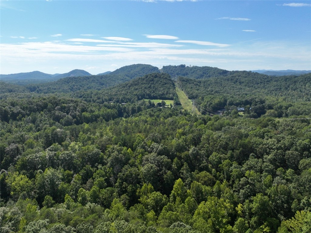 2705 Moorefield Memorial Highway