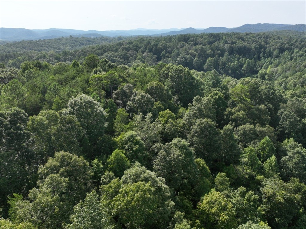 00 Cleveland Pike Road