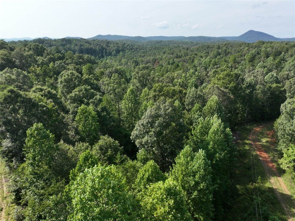 00 Cleveland Pike Road