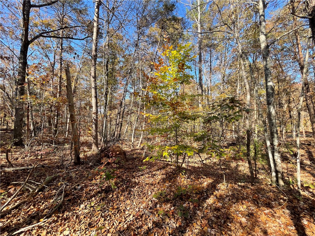 220 Old Fox Squirrel Ridge Road