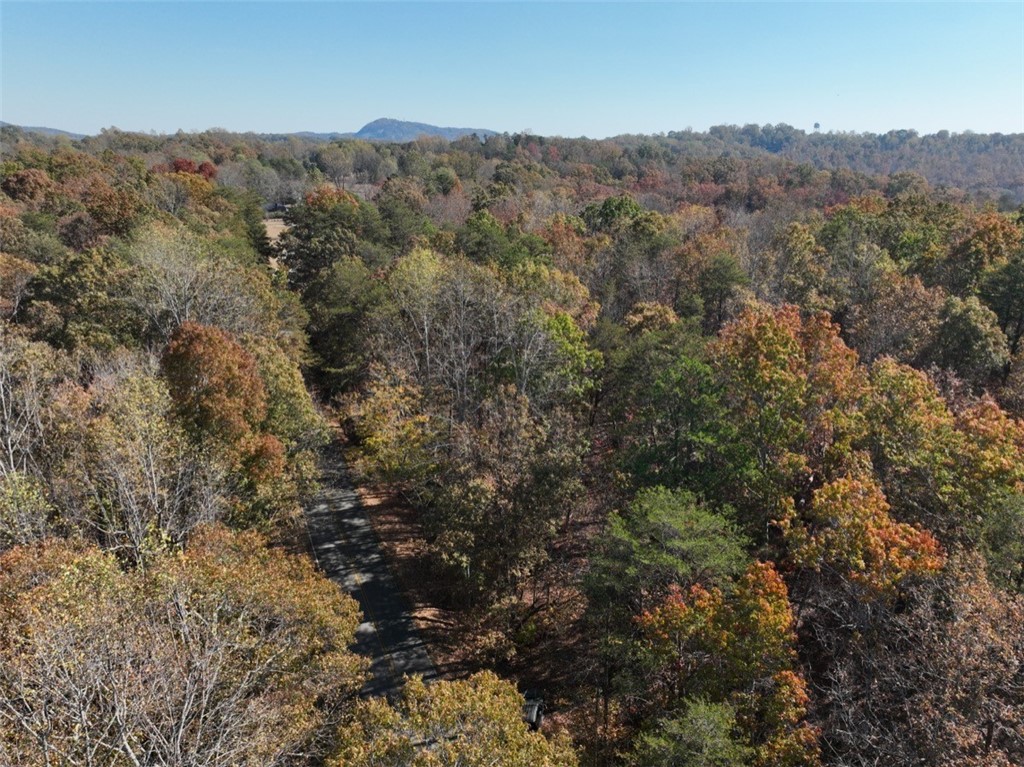 220 Old Fox Squirrel Ridge Road