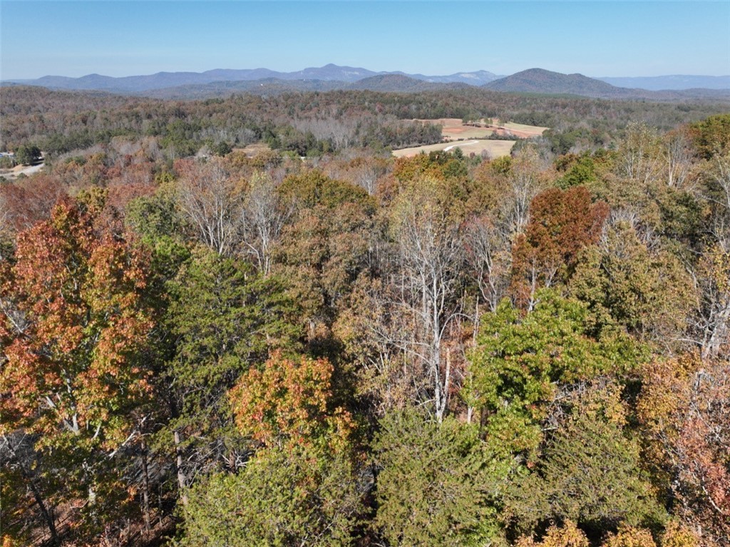 220 Old Fox Squirrel Ridge Road