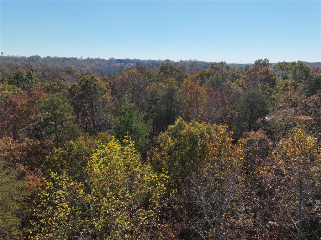 220 Old Fox Squirrel Ridge Road