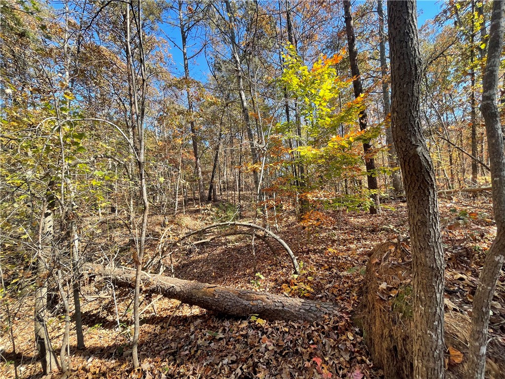 220 Old Fox Squirrel Ridge Road