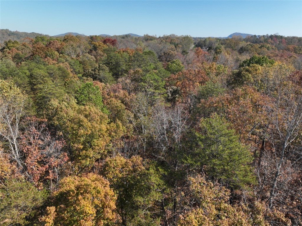 220 Old Fox Squirrel Ridge Road