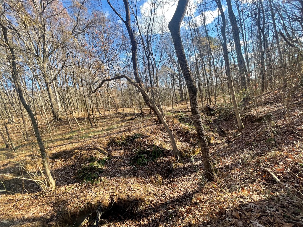 00 Mill Creek Road