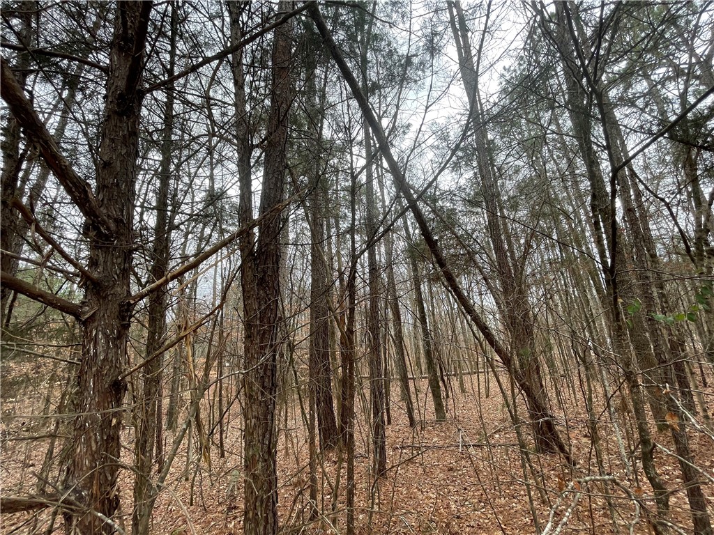 00 Ridgewood Harbor Road