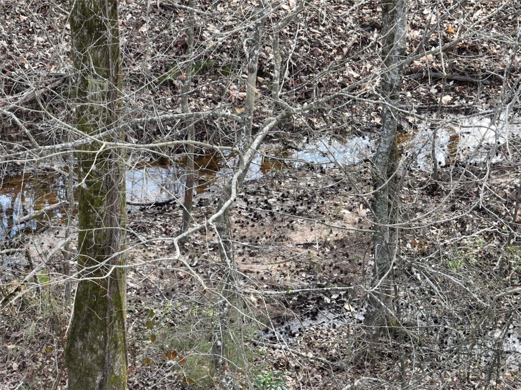 00 Antreville Highway