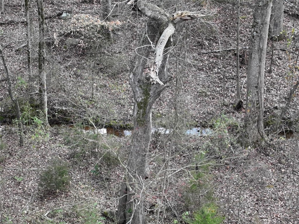 00 Antreville Highway