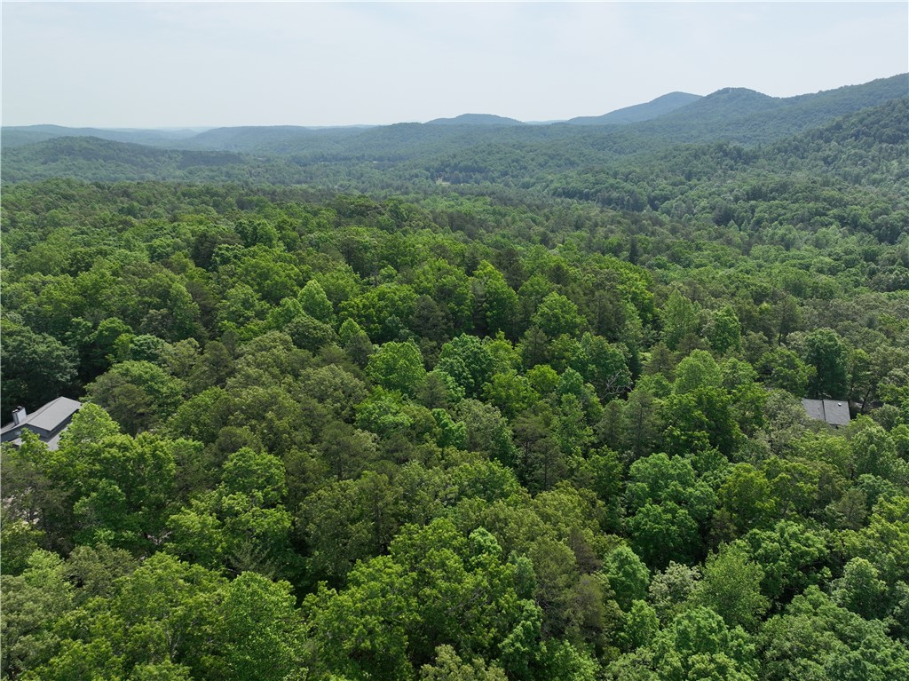 101 Cherokee Hills Trail