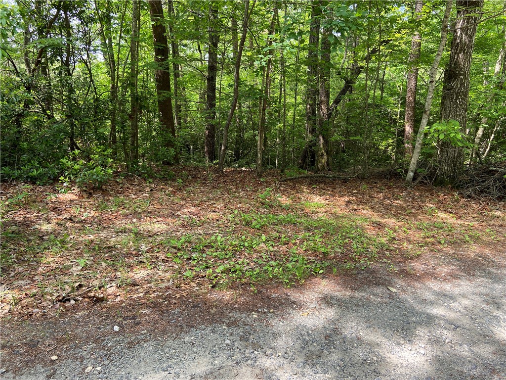 101 Cherokee Hills Trail