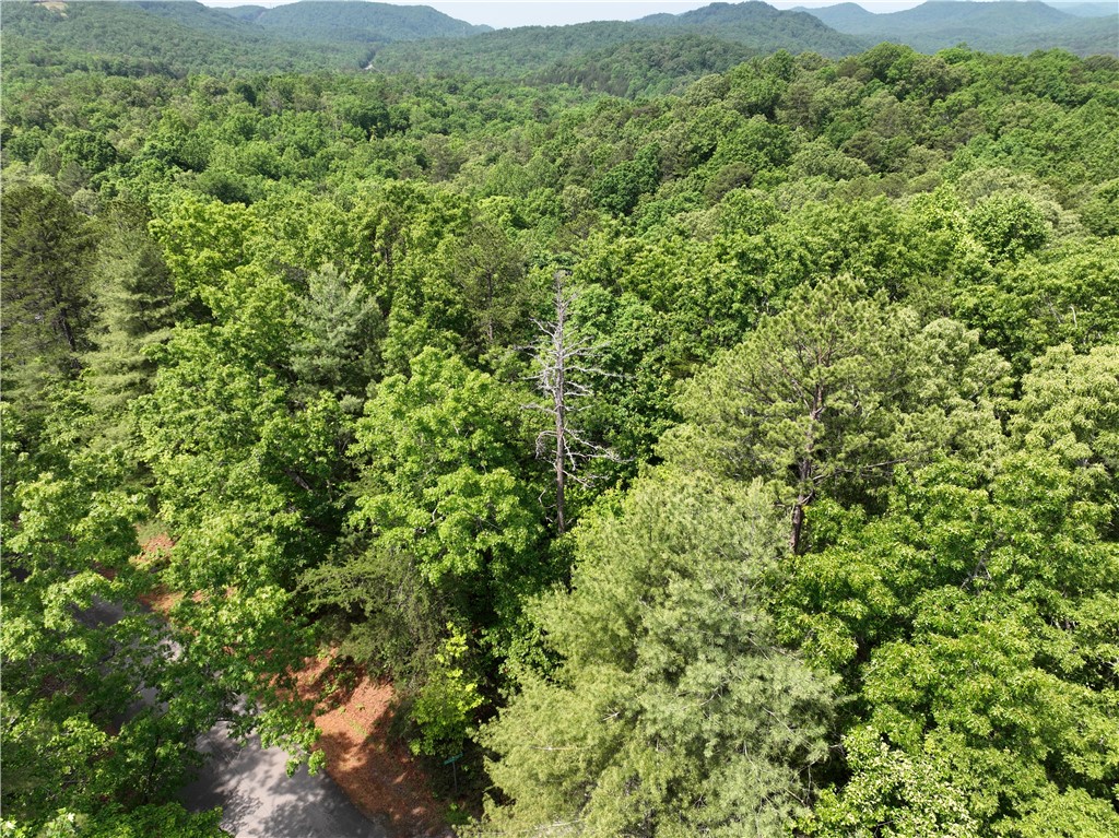 101 Cherokee Hills Trail