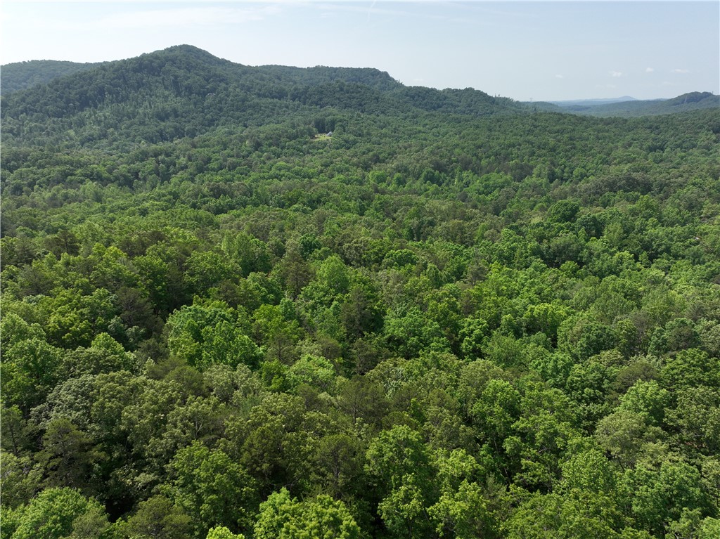 101 Cherokee Hills Trail