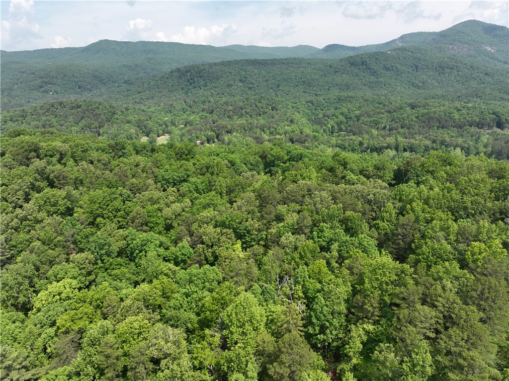 101 Cherokee Hills Trail