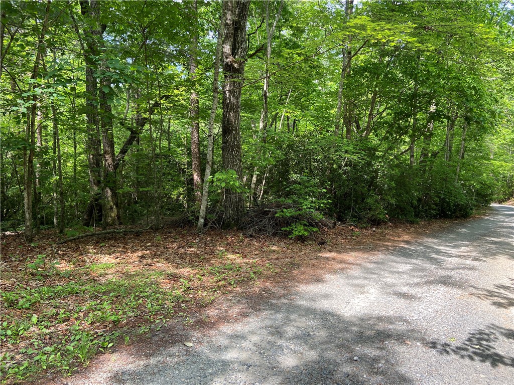 101 Cherokee Hills Trail