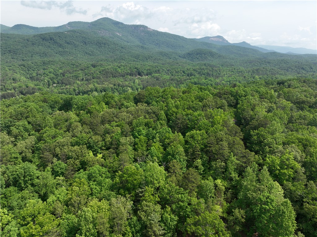 101 Cherokee Hills Trail