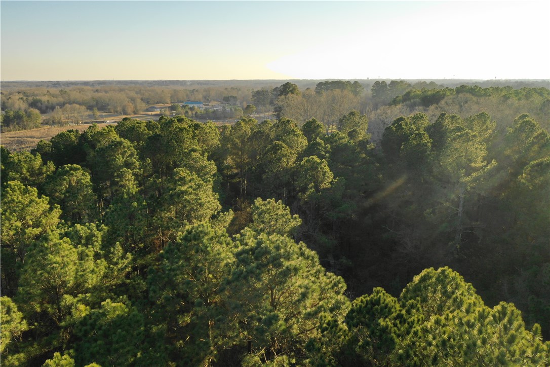 3405 Abbeville Highway