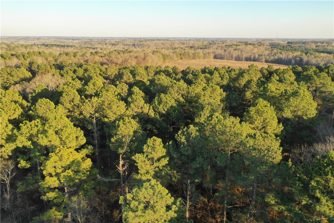 3405 Abbeville Highway